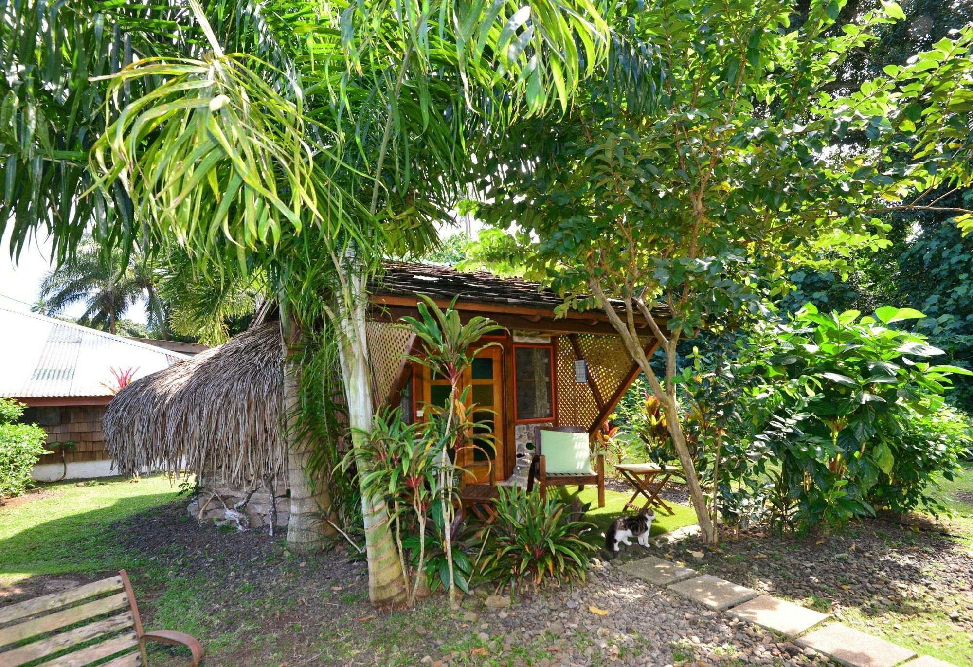 Mark'S Place Moorea Ngoại thất bức ảnh